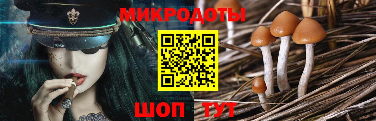 Галлюциногенные грибы MAGIC MUSHROOMS Чусовой