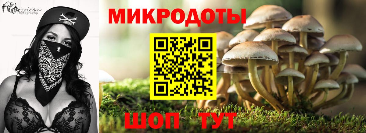 Чусовой  Галлюциногенные грибы Cubensis  Галлюциногенные грибы прущие грибы  Вход с VPN 